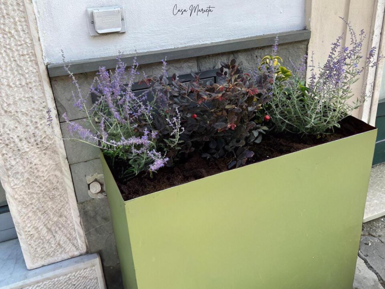 Marieta Rooms Sarzana Exterior photo